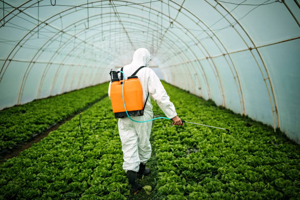 Best Affordable Pest Control Services  in Rpinteria, CA