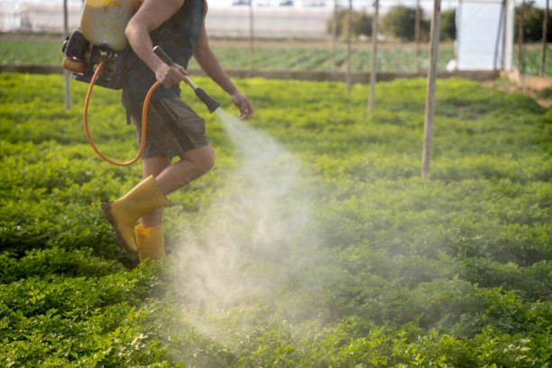 Best Pest Control Cost  in Rpinteria, CA