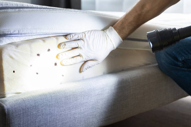 Best Exterminator Services  in Rpinteria, CA
