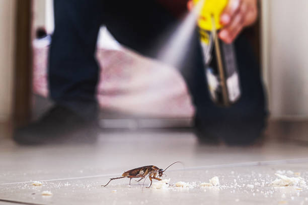 Best Bed Bug Extermination  in Rpinteria, CA