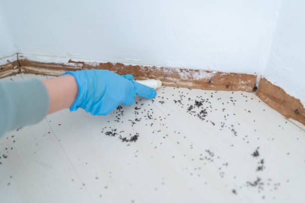 Best Commercial Pest Control Services  in Rpinteria, CA